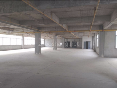 广州南沙区12000平米厂房出租丨可环评，带货梯
