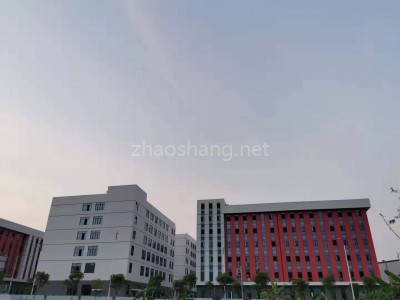 南宁高新区十一科技电子信息产业园厂房20000平米出租|交通便利，配套齐全