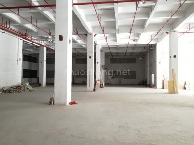 广州番禺钟村超靓1000平标准厂房 层高7.5米 独院 可入货车