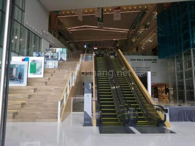 广东深圳宝安区原创家具饰品展厅，艺术根雕工作室