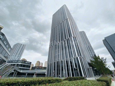 上海杨浦区保利绿地广场写字楼出粗