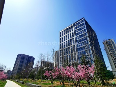青岛蓝色硅谷核心商务区5000平独栋办公产业楼出售