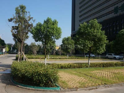 武昌南白沙洲片区滨江高端办公楼出租 位置好 环境好
