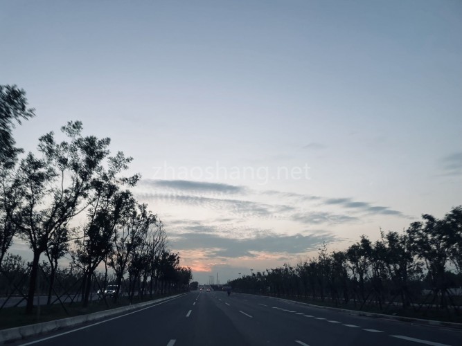 马杰