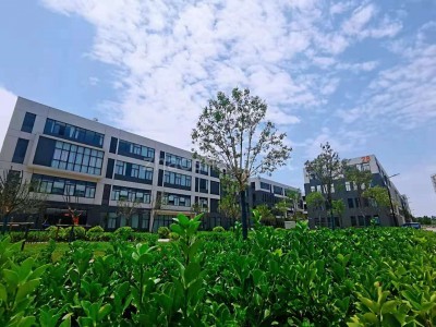 原阳县厂房出租平原新区，现房厂房在售，500-3000平方，看房方便