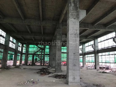 杭州厂房出售智慧园区标准厂房出售 8米层高 承重大